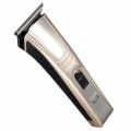 Dingling RF-128 resim