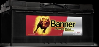 Banner Power Bull Professional 12V 100Ah