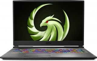 MSI Alpha 17 A4DEK-025XTR Laptop