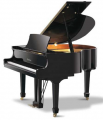 Pearl River GP148 resim