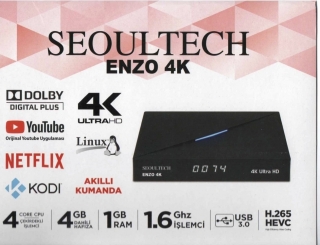 Seoultech Enzo 4K Uydu Alıcısı