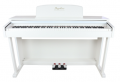 JWIN Sapphire SDP-210