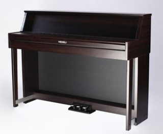 Medeli DP70U