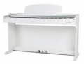 Gewa DP-300 resim