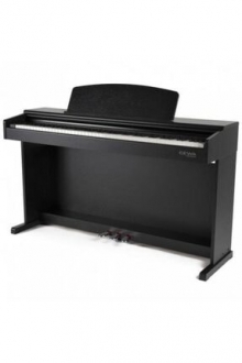 Gewa DP-300