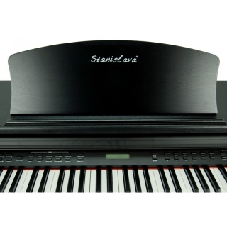 Stanislava Hammer Action STDP518