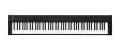 Korg D1