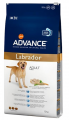 Advance Yetişkin Labrador ve Golden Retriever Tavuklu 12 kg resim
