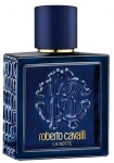 Roberto Cavalli Uomo La Notte EDT 100 ml Erkek Parfümü resim