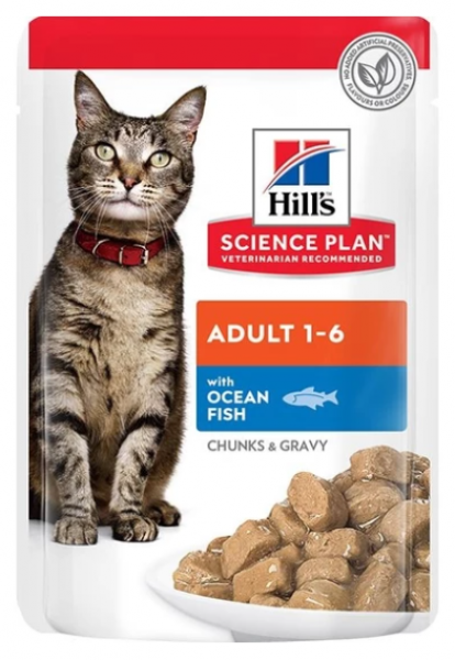 Hill's Adult Kuzu Etli Yetişkin 300 gr Kedi Maması