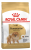 Royal Canin Pomeranian Yetişkin 3 kg Köpek Maması