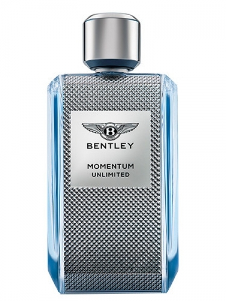 Bentley Momentum Unlimited EDT 100 ml Erkek Parfümü