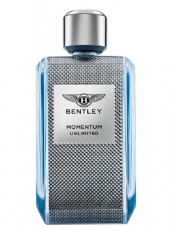 Bentley Momentum Unlimited EDT 100 ml Erkek Parfümü