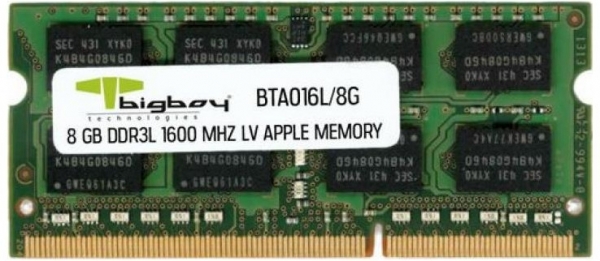 Bigboy BTA016L/8G 8 GB 1600 MT