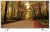 Woon WN65LEDA51-G Ultra HD (4K) TV
