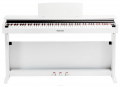 Pearl River V-03 resim