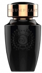 Triumphant Black Amber EDT 100 ml Erkek Parfümü resim