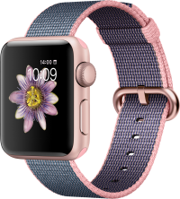 Apple Watch Series 2 (38 mm) Roze Altın Rengi Alüminyum Kasa ve Naylon Örme Uçuk Pembe/Gece Mavisi Kordon resim