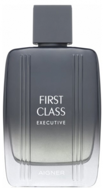 Etienne Aigner First Class Executive EDT 100 ml Erkek Parfümü (100 ml)