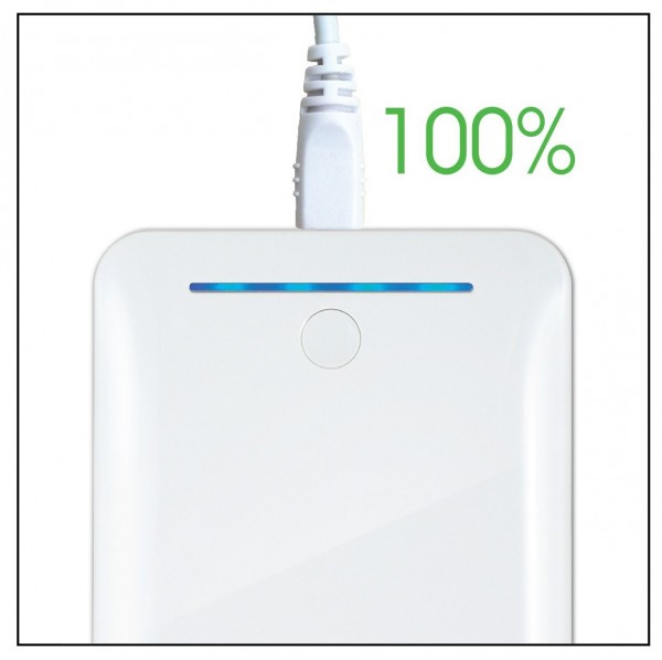 GP GL301 10400 mAh Powerbank