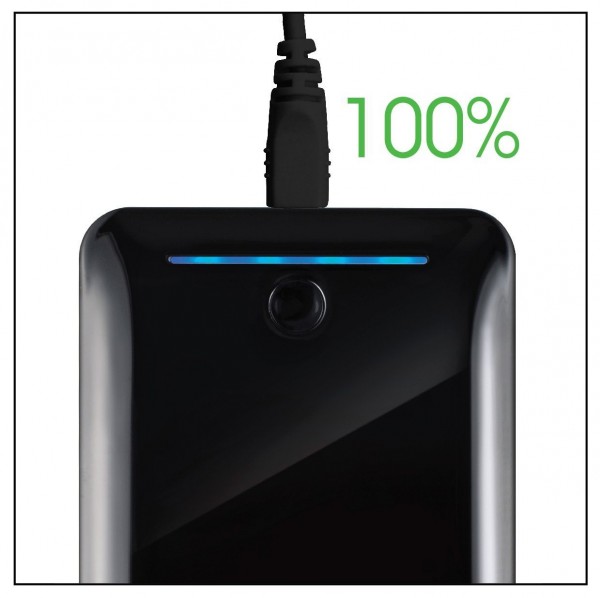 GP GL301 10400 mAh Powerbank