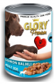 Glory Premium Somon Balıklı Yetişkin 415 gr resim