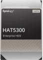Synology HAT5300-16T resim