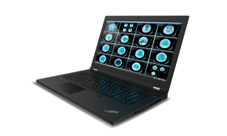 Lenovo ThinkPad P17 20SN002NTX Laptop