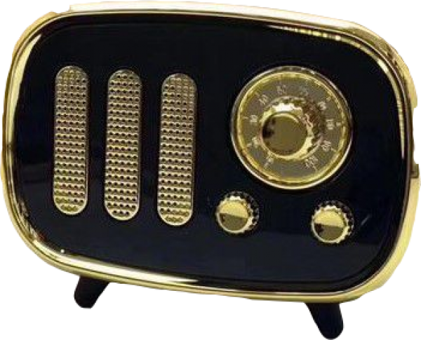 Platoon AL-11 Bluetooth Hoparlör