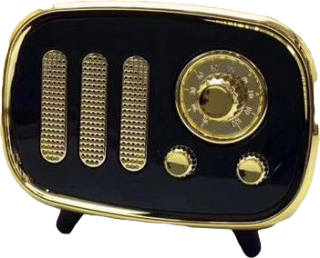 Platoon AL-11 Bluetooth Hoparlör