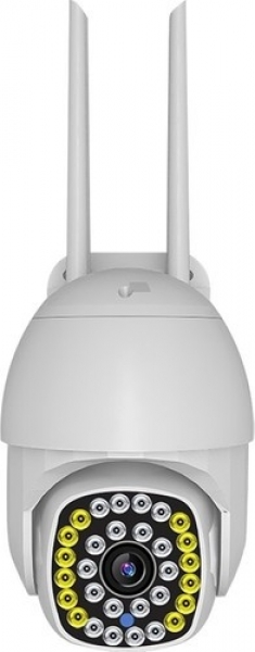 Kingboss IP-31