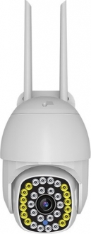 Kingboss IP-31