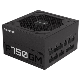 Gigabyte P750GM 750W