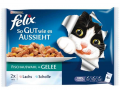 Felix Yetişkin Ton Balıklı Ve Somon Balıklı 100 gr resim