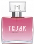 BioBellinda Yesar EDP 50 ml Erkek Parfümü resim