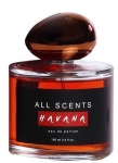 All Scents Havana EDP 100 ml Erkek Parfümü resim