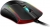XPG Primer Mouse