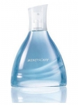 Avon Windscape EDT 75 ml Erkek Parfümü resim