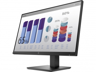 HP P24q G4 (8MB10AS) Monitör