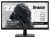 Iiyama G-Master G2230HS-B1 Monitör