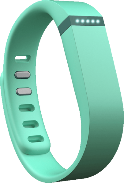 Fitbit Flex Akıllı Bileklik