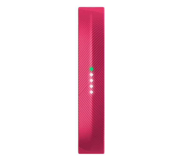 Fitbit Flex 2 Akıllı Bileklik