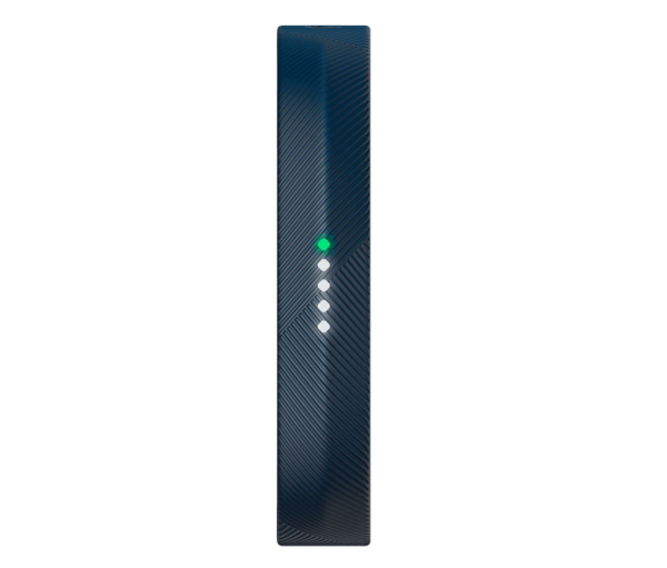 Fitbit Flex 2 Akıllı Bileklik