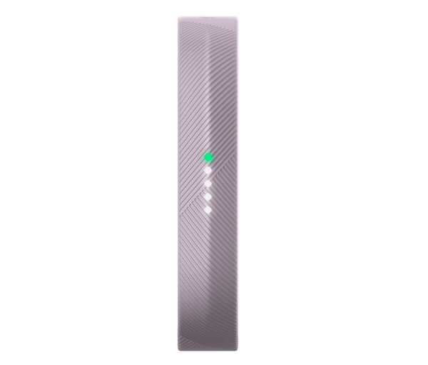 Fitbit Flex 2 Akıllı Bileklik