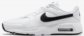 Nike Air Max SC (CW4555-102) Erkek Spor Ayakkabı