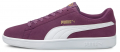 Puma Smash V2 (364989-50) Erkek Spor Ayakkabı