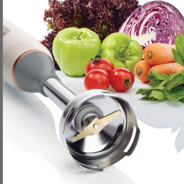 Arzum Provita Max AR1040 Blender