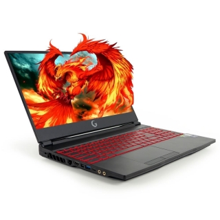Game Garaj Fenix 10TN-C01 Laptop