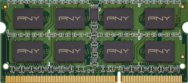 PNY MN8GSD31600LV 8 GB 1600 MT