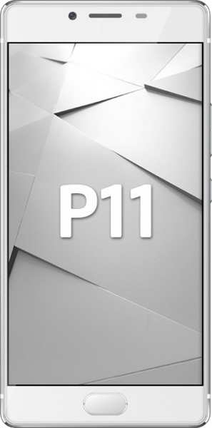 Reeder P11